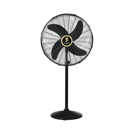 Unimax Fancy Pedestal